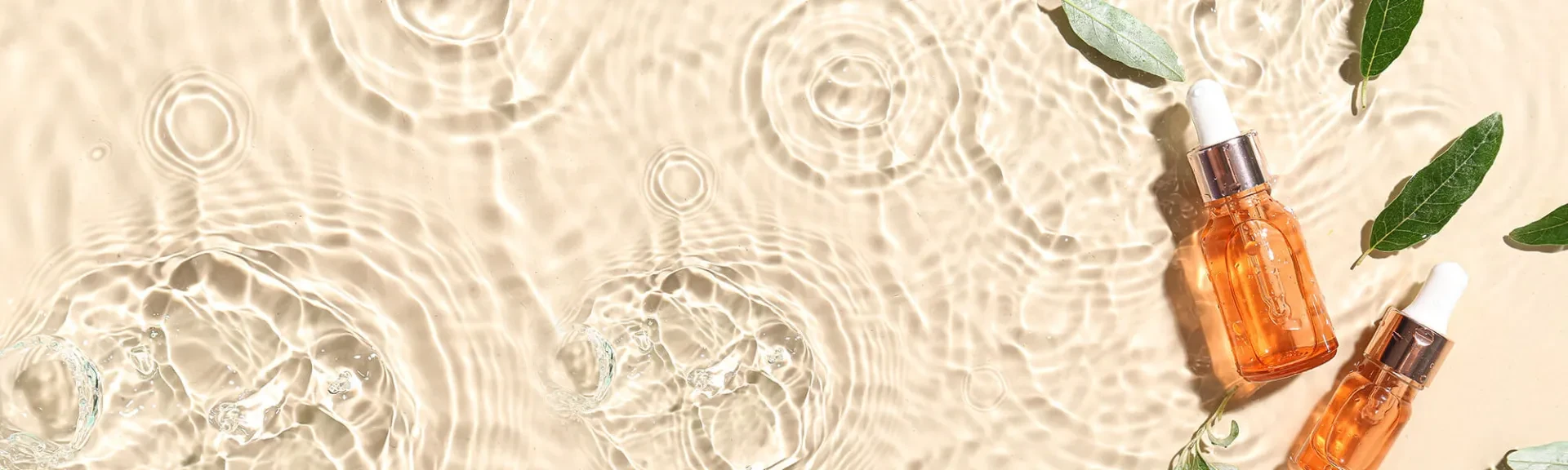 Công Dụng Của Yến Sào Đối Với Làn Da Phái Đẹp